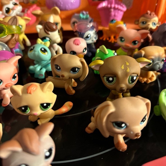 Littlest Pet Shop Orange Playset Dolls - Picture 8 of 12
